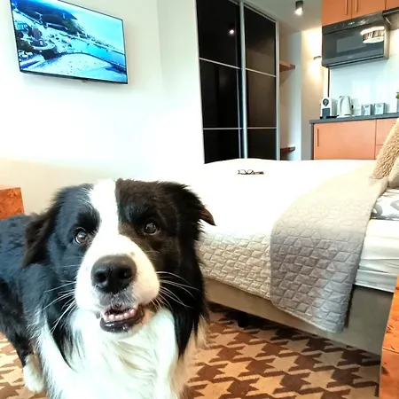 122 W Pieciogwiazdkowym Royal Tulip 200m Plaza Dobruk Romek Prywatny Апартаменты *